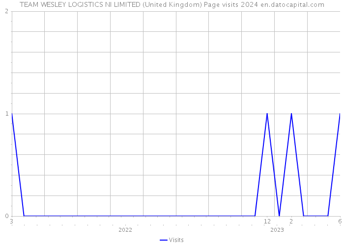 TEAM WESLEY LOGISTICS NI LIMITED (United Kingdom) Page visits 2024 
