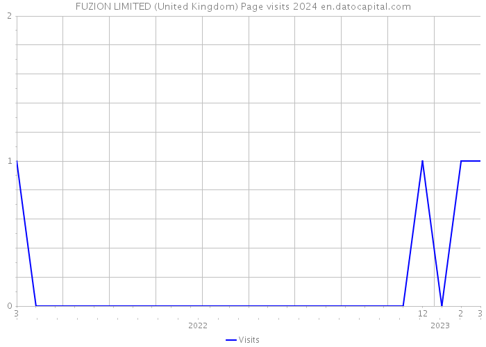 FUZION LIMITED (United Kingdom) Page visits 2024 