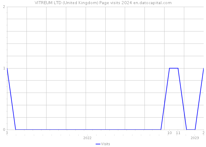 VITREUM LTD (United Kingdom) Page visits 2024 