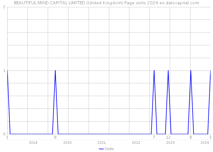 BEAUTIFUL MIND CAPITAL LIMITED (United Kingdom) Page visits 2024 