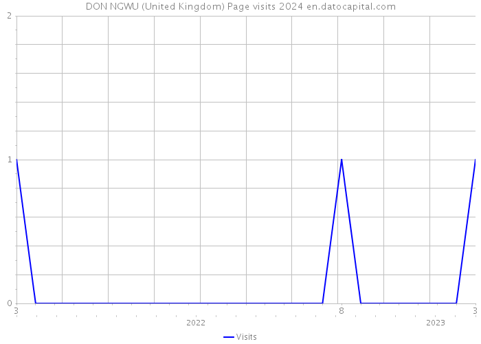 DON NGWU (United Kingdom) Page visits 2024 