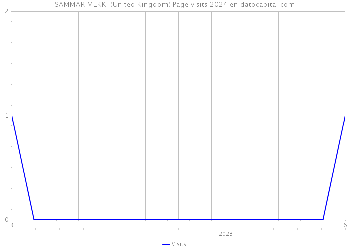 SAMMAR MEKKI (United Kingdom) Page visits 2024 