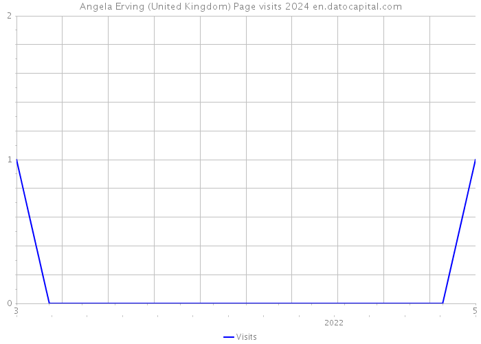 Angela Erving (United Kingdom) Page visits 2024 
