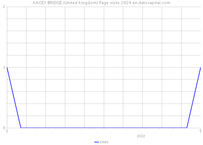 KACEY BRIDGE (United Kingdom) Page visits 2024 