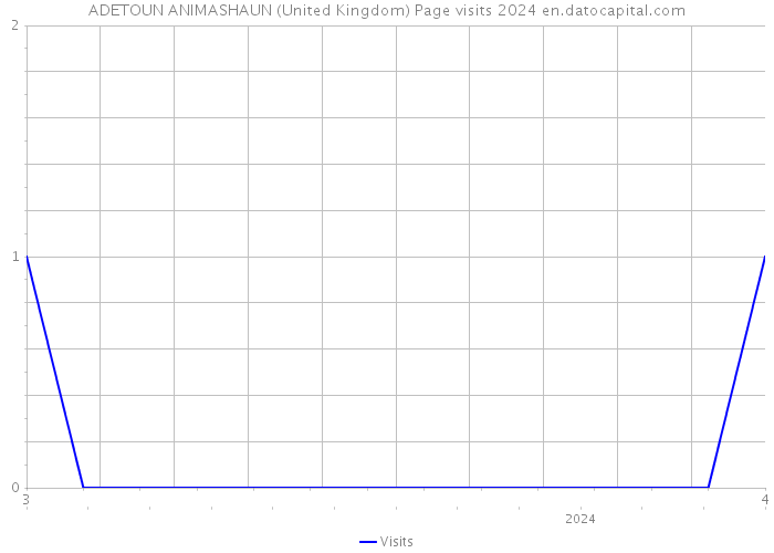 ADETOUN ANIMASHAUN (United Kingdom) Page visits 2024 