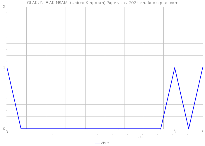 OLAKUNLE AKINBAMI (United Kingdom) Page visits 2024 