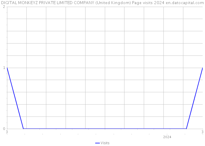 DIGITAL MONKEYZ PRIVATE LIMITED COMPANY (United Kingdom) Page visits 2024 