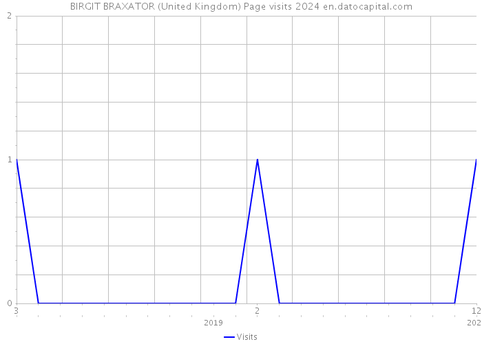 BIRGIT BRAXATOR (United Kingdom) Page visits 2024 