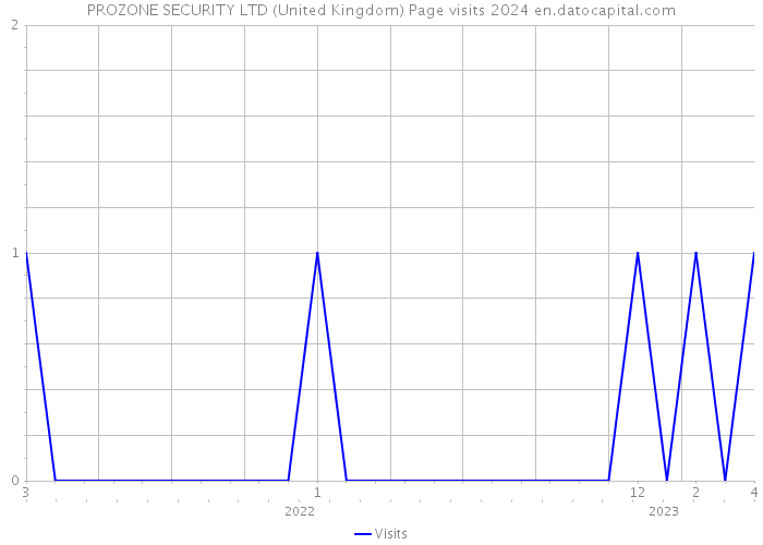 PROZONE SECURITY LTD (United Kingdom) Page visits 2024 