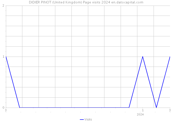 DIDIER PINOT (United Kingdom) Page visits 2024 