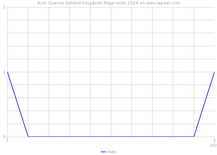 Azer Guenes (United Kingdom) Page visits 2024 