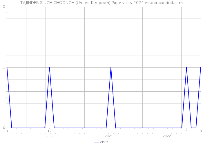 TAJINDER SINGH CHOONGH (United Kingdom) Page visits 2024 