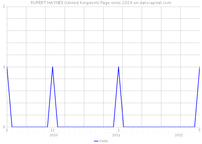 RUPERT HAYNES (United Kingdom) Page visits 2024 