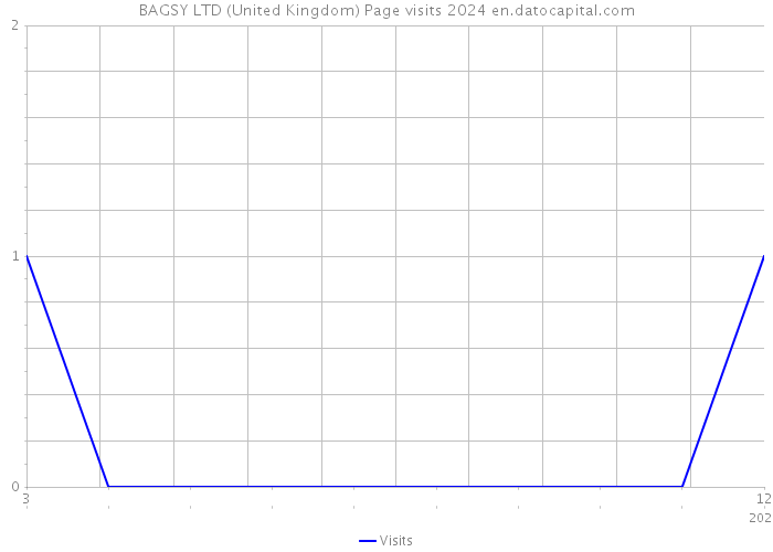BAGSY LTD (United Kingdom) Page visits 2024 