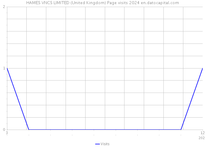 HAMES VNCS LIMITED (United Kingdom) Page visits 2024 