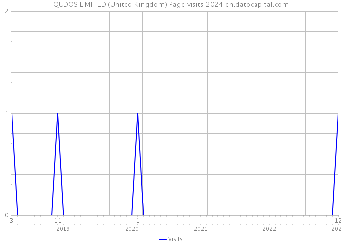 QUDOS LIMITED (United Kingdom) Page visits 2024 
