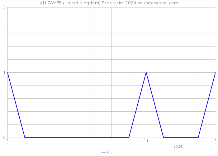 ALI ZAHER (United Kingdom) Page visits 2024 