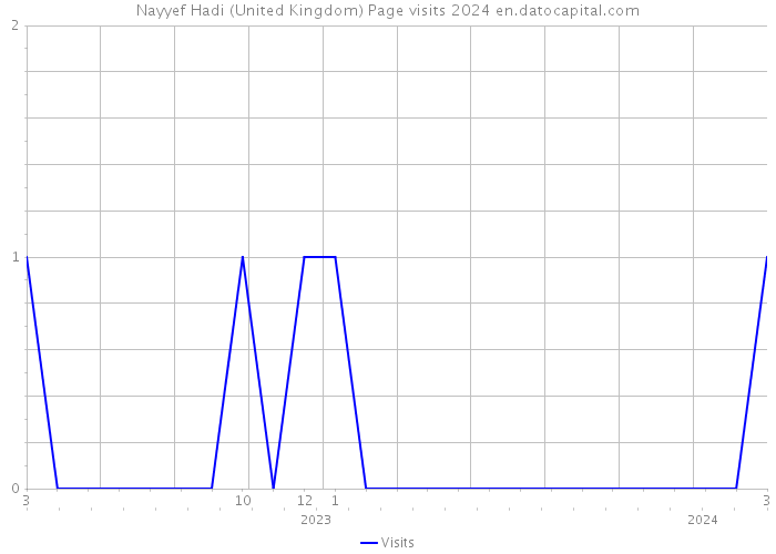 Nayyef Hadi (United Kingdom) Page visits 2024 