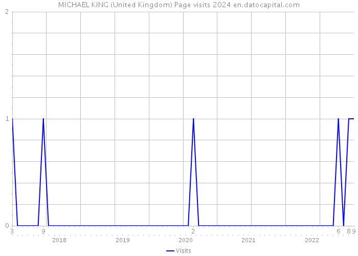 MICHAEL KING (United Kingdom) Page visits 2024 