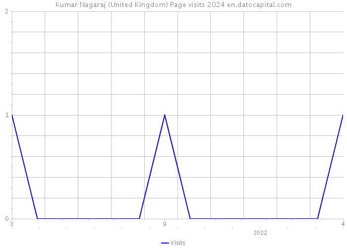 Kumar Nagaraj (United Kingdom) Page visits 2024 