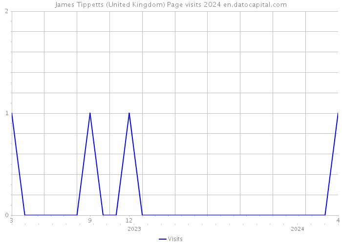 James Tippetts (United Kingdom) Page visits 2024 