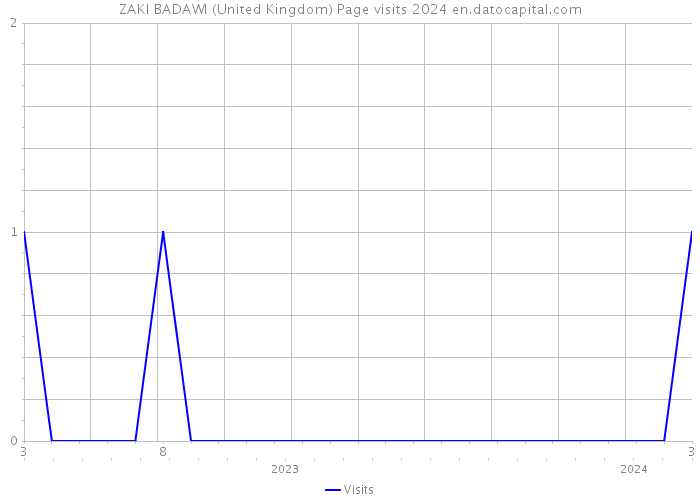 ZAKI BADAWI (United Kingdom) Page visits 2024 