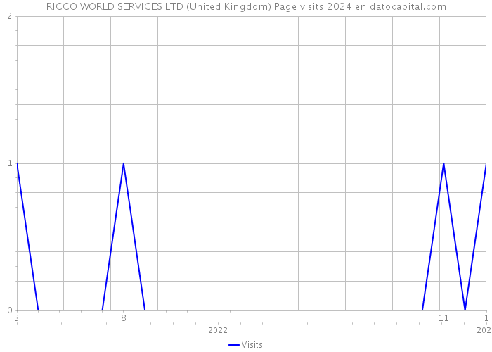 RICCO WORLD SERVICES LTD (United Kingdom) Page visits 2024 