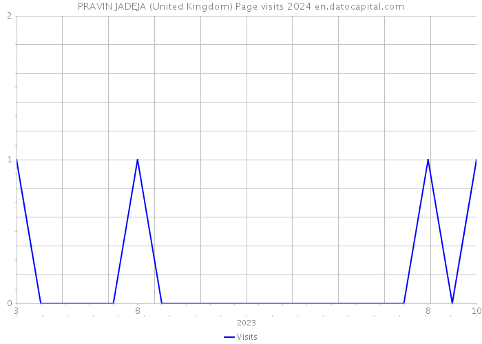 PRAVIN JADEJA (United Kingdom) Page visits 2024 