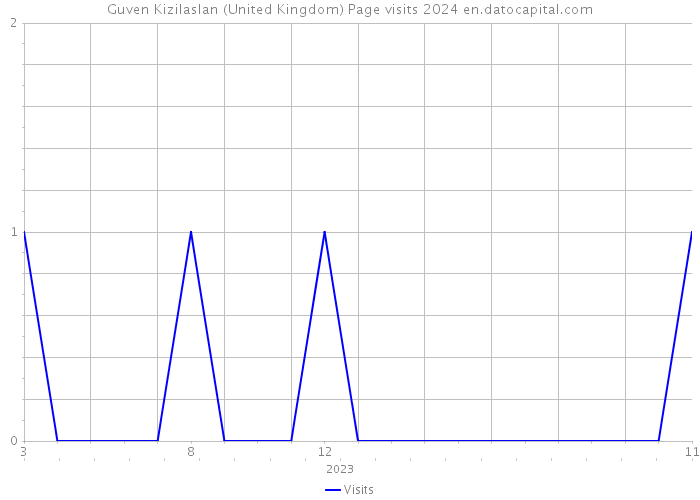 Guven Kizilaslan (United Kingdom) Page visits 2024 