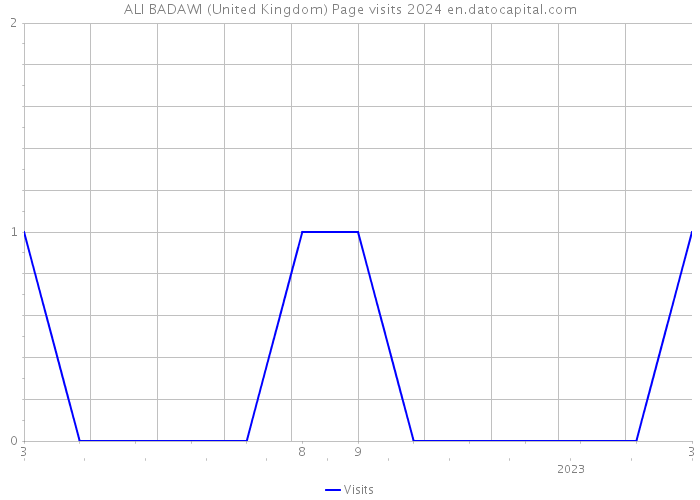 ALI BADAWI (United Kingdom) Page visits 2024 