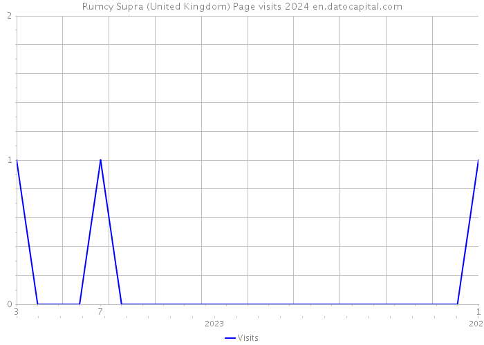 Rumcy Supra (United Kingdom) Page visits 2024 