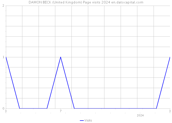 DAMON BECK (United Kingdom) Page visits 2024 
