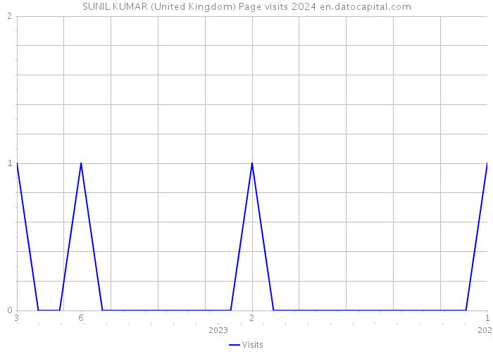 SUNIL KUMAR (United Kingdom) Page visits 2024 