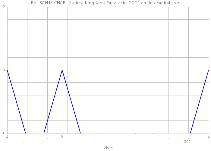 BAUSCH MICHAEL (United Kingdom) Page visits 2024 