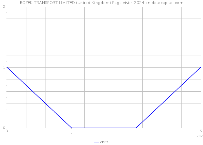 BOZEK TRANSPORT LIMITED (United Kingdom) Page visits 2024 