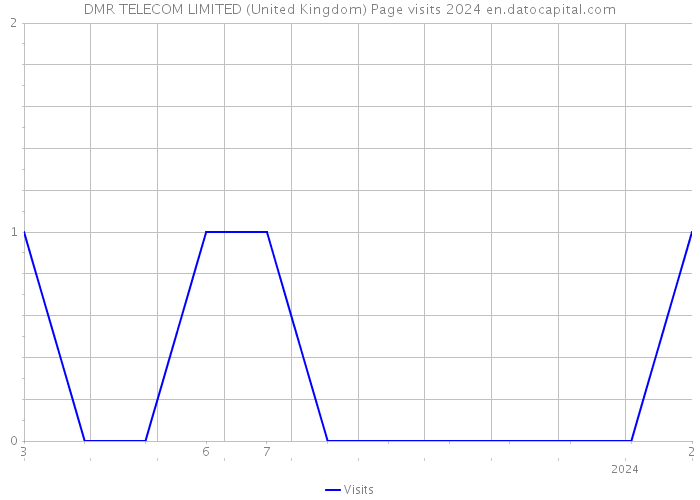DMR TELECOM LIMITED (United Kingdom) Page visits 2024 