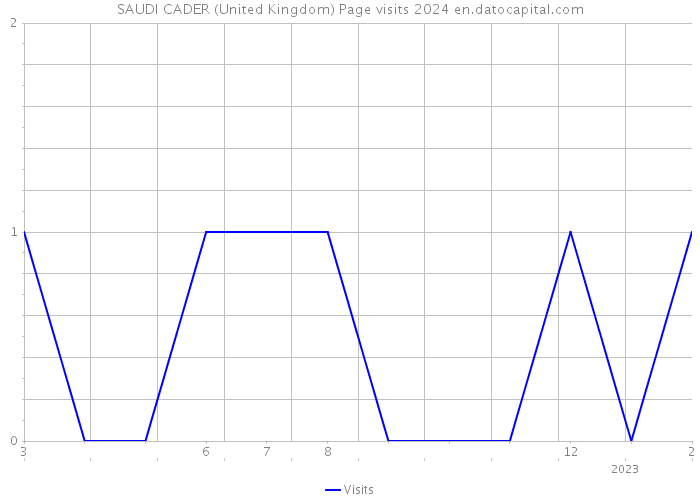 SAUDI CADER (United Kingdom) Page visits 2024 