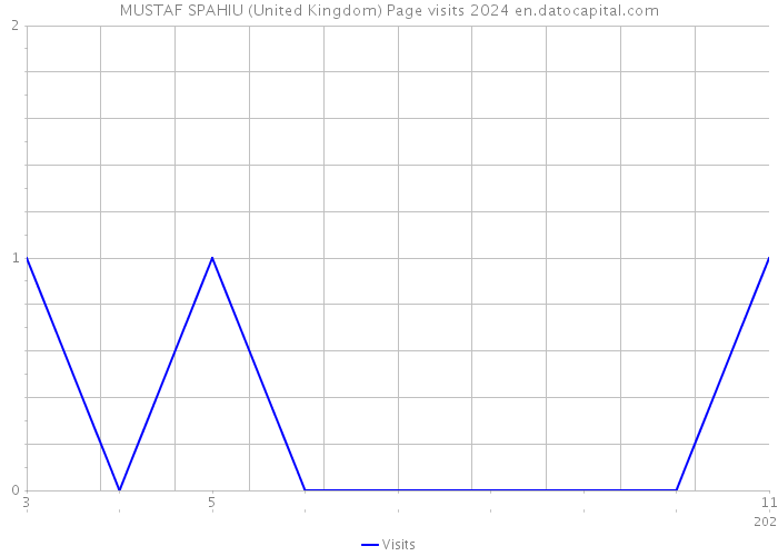 MUSTAF SPAHIU (United Kingdom) Page visits 2024 