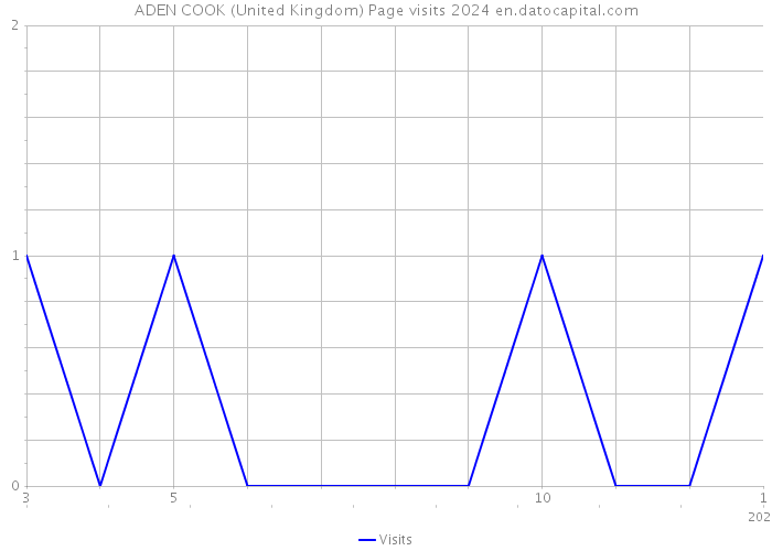 ADEN COOK (United Kingdom) Page visits 2024 