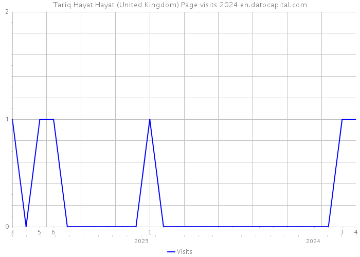 Tariq Hayat Hayat (United Kingdom) Page visits 2024 