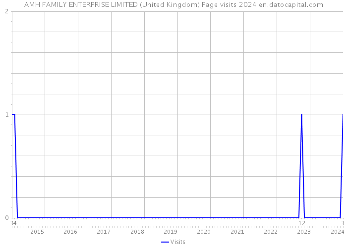 AMH FAMILY ENTERPRISE LIMITED (United Kingdom) Page visits 2024 