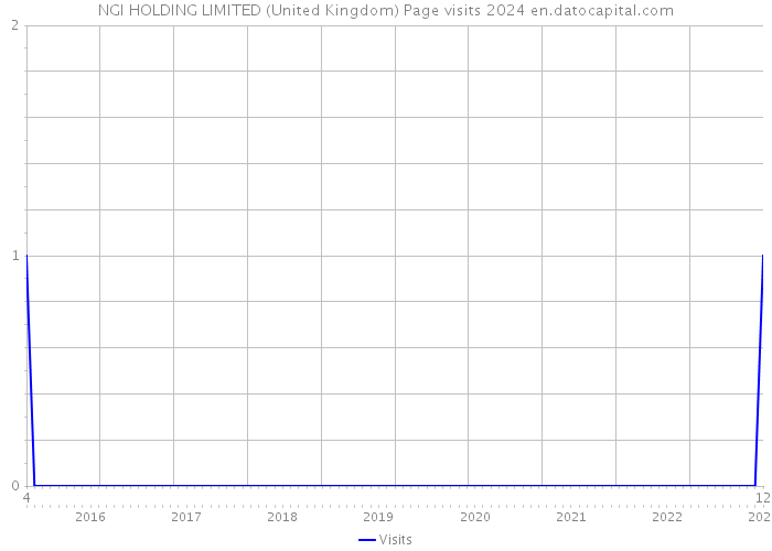 NGI HOLDING LIMITED (United Kingdom) Page visits 2024 