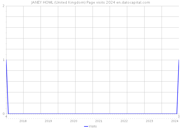 JANEY HOWL (United Kingdom) Page visits 2024 