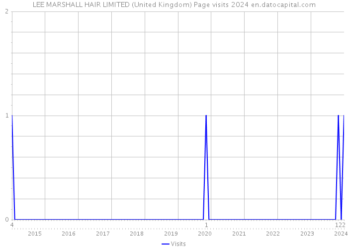 LEE MARSHALL HAIR LIMITED (United Kingdom) Page visits 2024 