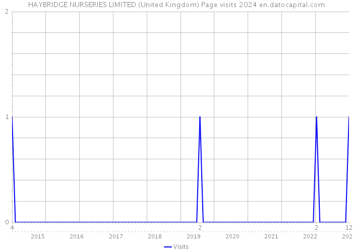 HAYBRIDGE NURSERIES LIMITED (United Kingdom) Page visits 2024 