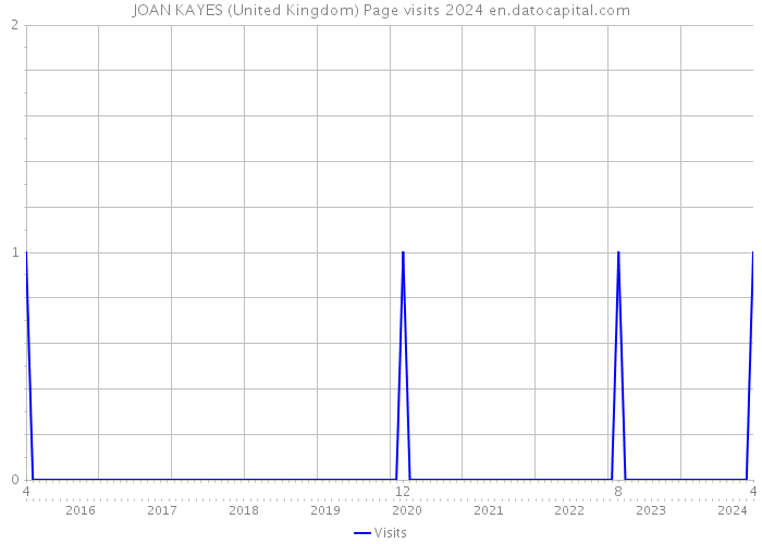 JOAN KAYES (United Kingdom) Page visits 2024 