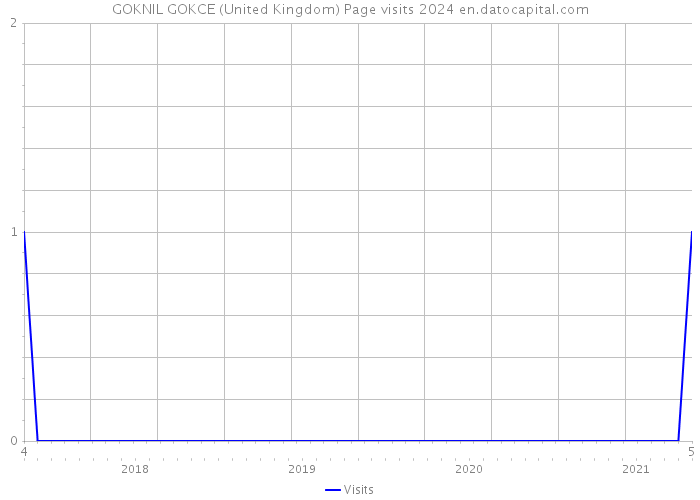 GOKNIL GOKCE (United Kingdom) Page visits 2024 