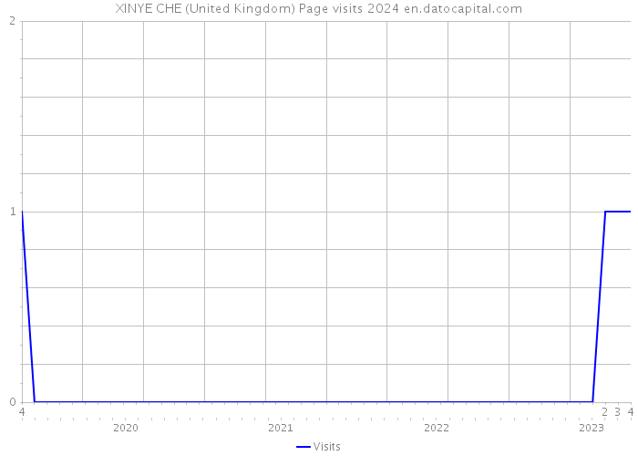 XINYE CHE (United Kingdom) Page visits 2024 