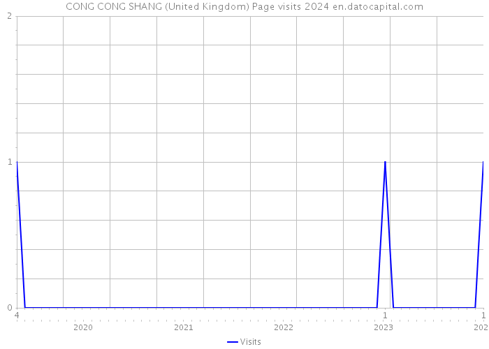 CONG CONG SHANG (United Kingdom) Page visits 2024 