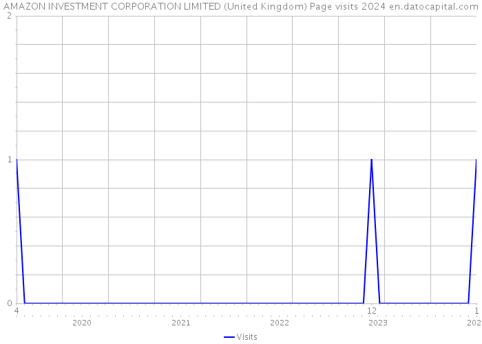 AMAZON INVESTMENT CORPORATION LIMITED (United Kingdom) Page visits 2024 